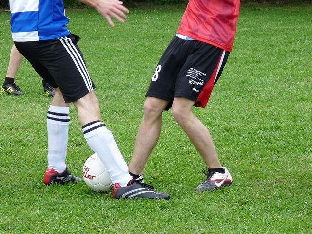 常常能够在 常常能够在