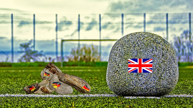 此推动国家 此推动国家