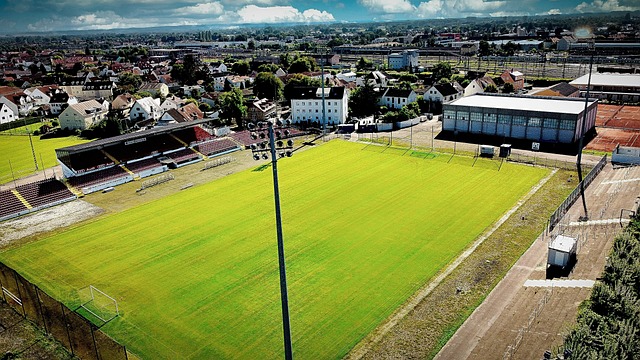 他真的就像 他真的就像